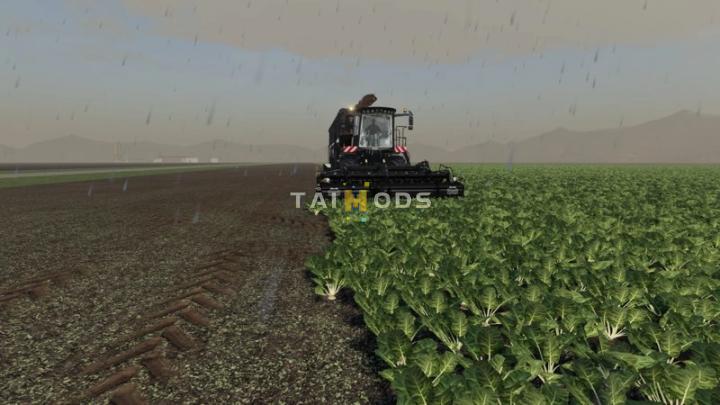 FS19 - Holmer Terra Dos T4-40 S-Edition V1.0 (1.7) FS19 - Holmer Terra Dos T4-40 S-Edition V1.0 (1.7)