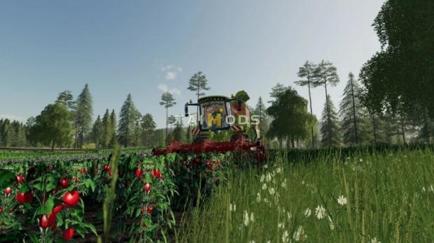 FS19 - Old Kiwi Farm Map V1.1.1 (1.7) FS19 - Old Kiwi Farm Map V1.1.1 (1.7)