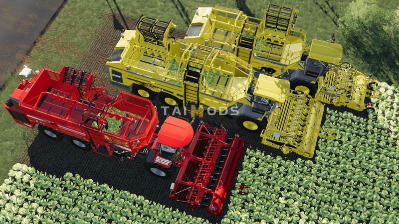 FS19 - Carrots, Onions and Cabbage Crops V1.7 (1.4) FS19 - Carrots, Onions and Cabbage Crops V1.7 (1.4)
