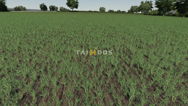 FS19 - Realistic Cereal and Canola Crop Densities V1.0 (1.4) FS19 - Realistic Cereal and Canola Crop Densities V1.0 (1.4)
