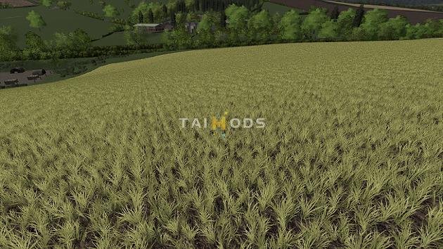 FS19 - Realistic Cereal and Canola Crop Densities V1.0 (1.4) FS19 - Realistic Cereal and Canola Crop Densities V1.0 (1.4)