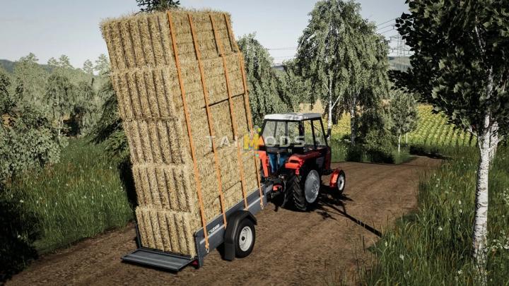 FS19 - Lizard Car Trailer V1.3 (1.7) FS19 - Lizard Car Trailer V1.3 (1.7)