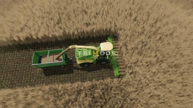 FS22 - Collect 900 for Sugarcane And Poplar V1.0 (1.4) FS22 - Collect 900 for Sugarcane And Poplar V1.0 (1.4)
