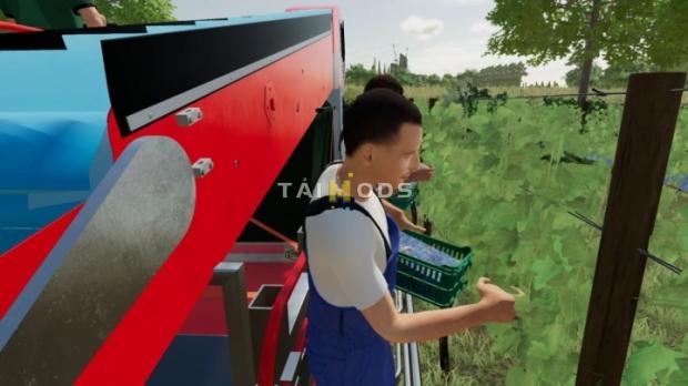 FS22 - Grape Harvesting Brigade V1.0 (1.13) FS22 - Grape Harvesting Brigade V1.0 (1.13)