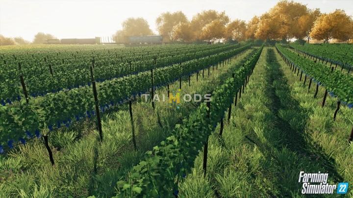 First Look At The New Crops for FS22 V1.0 () First Look At The New Crops for FS22 V1.0 ()