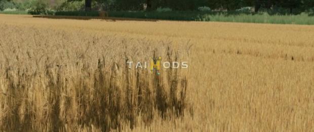 FS22 - Realistic Plant Textures V1.0 (1.8) FS22 - Realistic Plant Textures V1.0 (1.8)