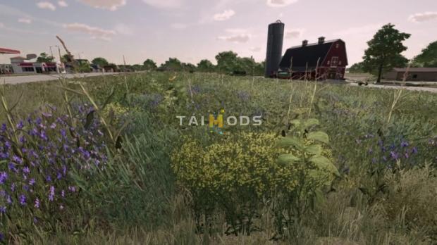 FS22 - New Oil Radish V1.0 (1.14) FS22 - New Oil Radish V1.0 (1.14)