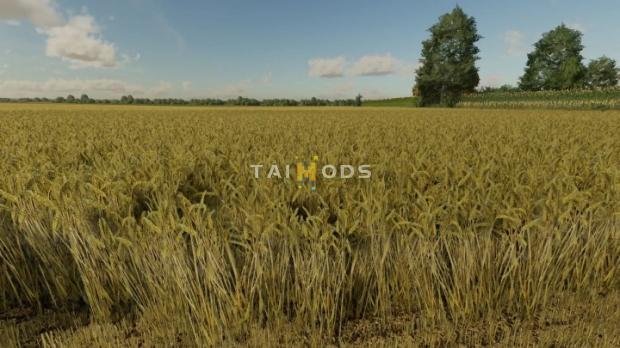FS22 - Wheat Texture V1.0.0.1 (1.14) FS22 - Wheat Texture V1.0.0.1 (1.14)