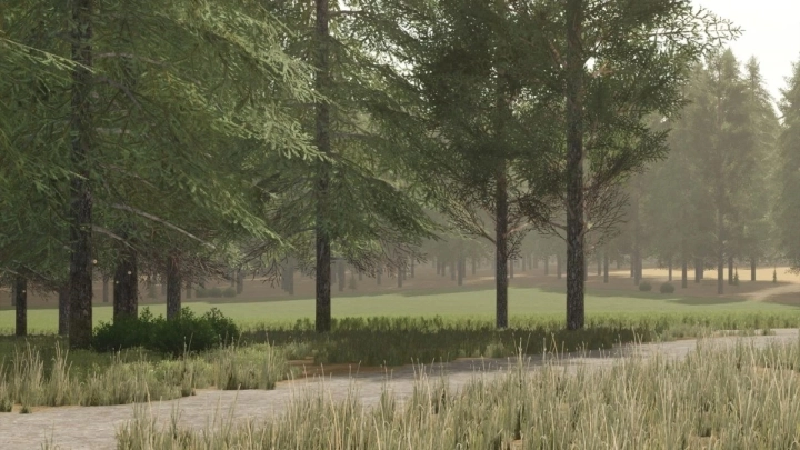 FS25 - Pinewood Forest Map V1.4.5 () FS25 - Pinewood Forest Map V1.4.5 ()
