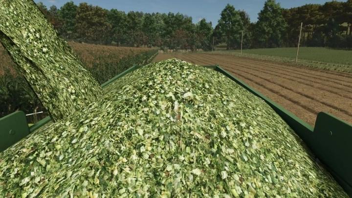 FS25 - Improved Corn Texture V1.0 () FS25 - Improved Corn Texture V1.0 ()