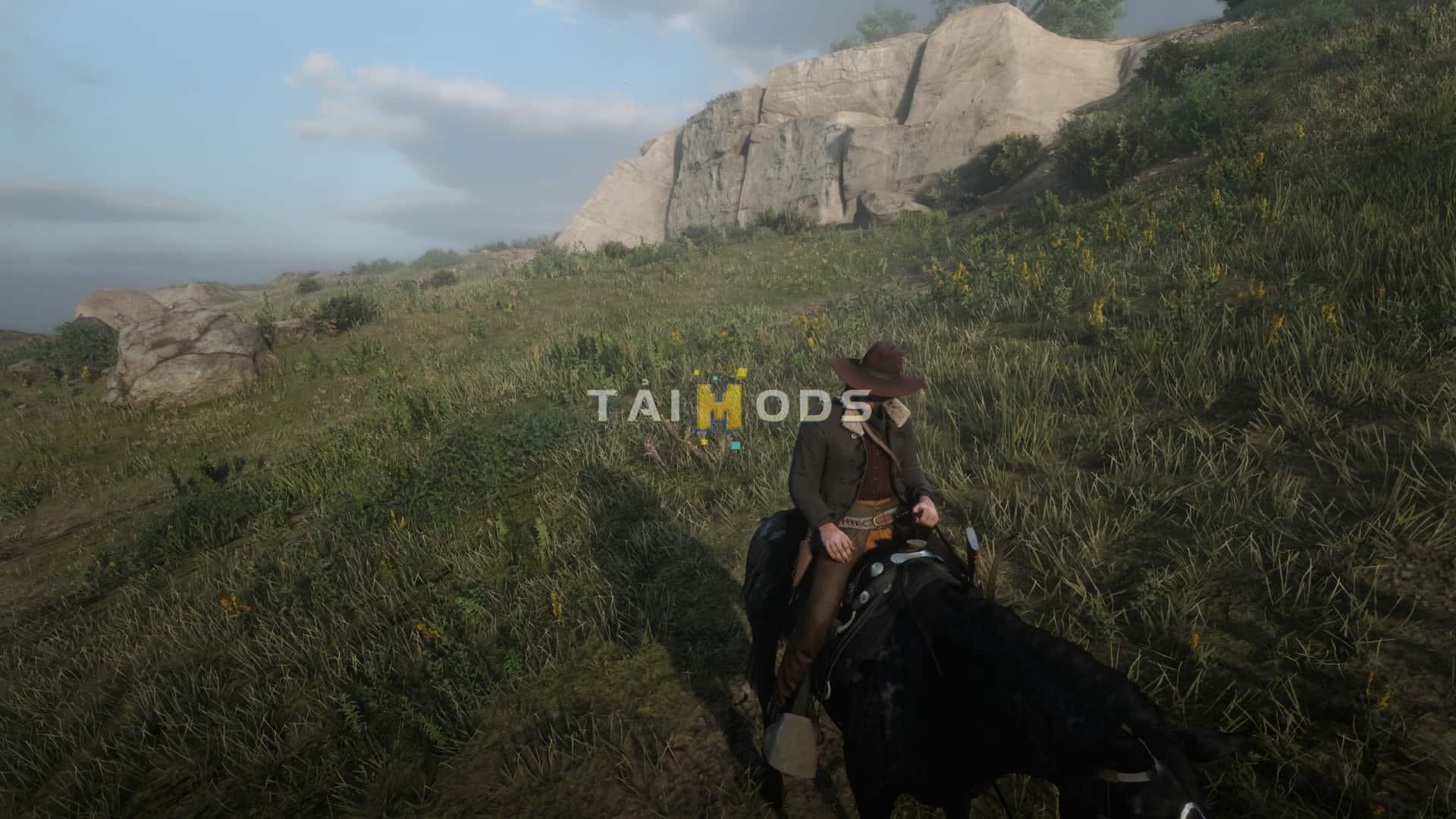 RDR2 - Reduced Vignetting () RDR2 - Reduced Vignetting ()