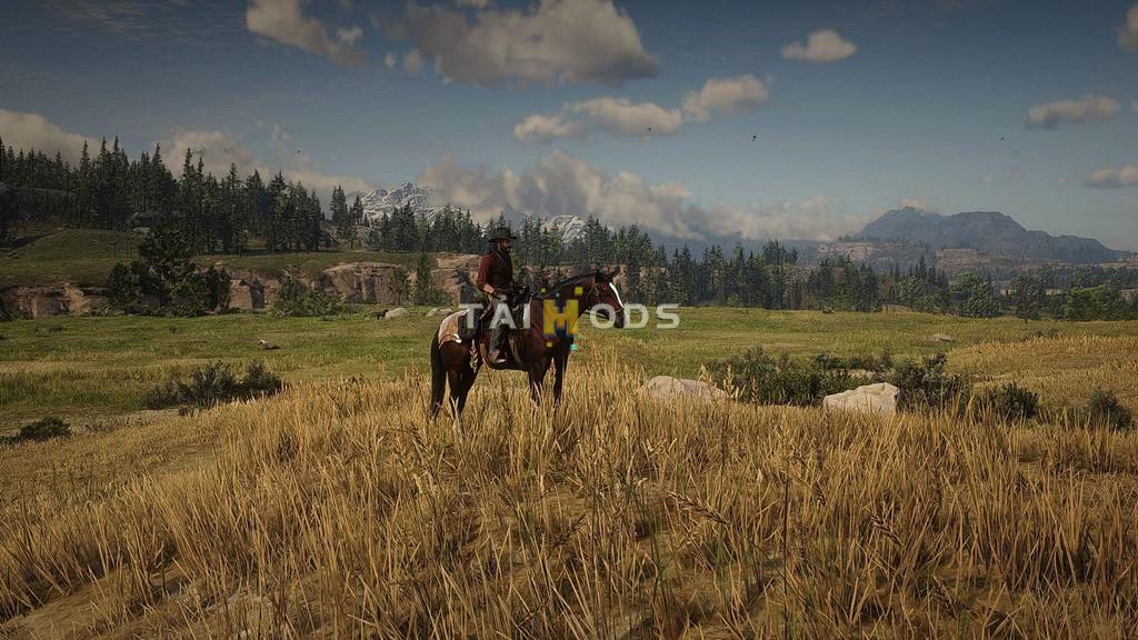 RDR2 - Marston Free Roam Deluxe () RDR2 - Marston Free Roam Deluxe ()