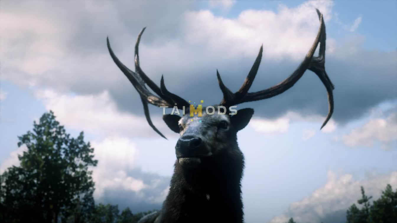 RDR2 - More Perfect Animals () RDR2 - More Perfect Animals ()