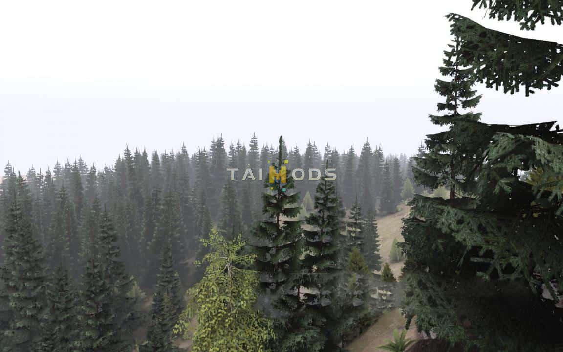 Spintires - Fir-Tree Mod for Editor (Tree 4) V1.0 (V1.6.x) Spintires - Fir-Tree Mod for Editor (Tree 4) V1.0 (V1.6.x)