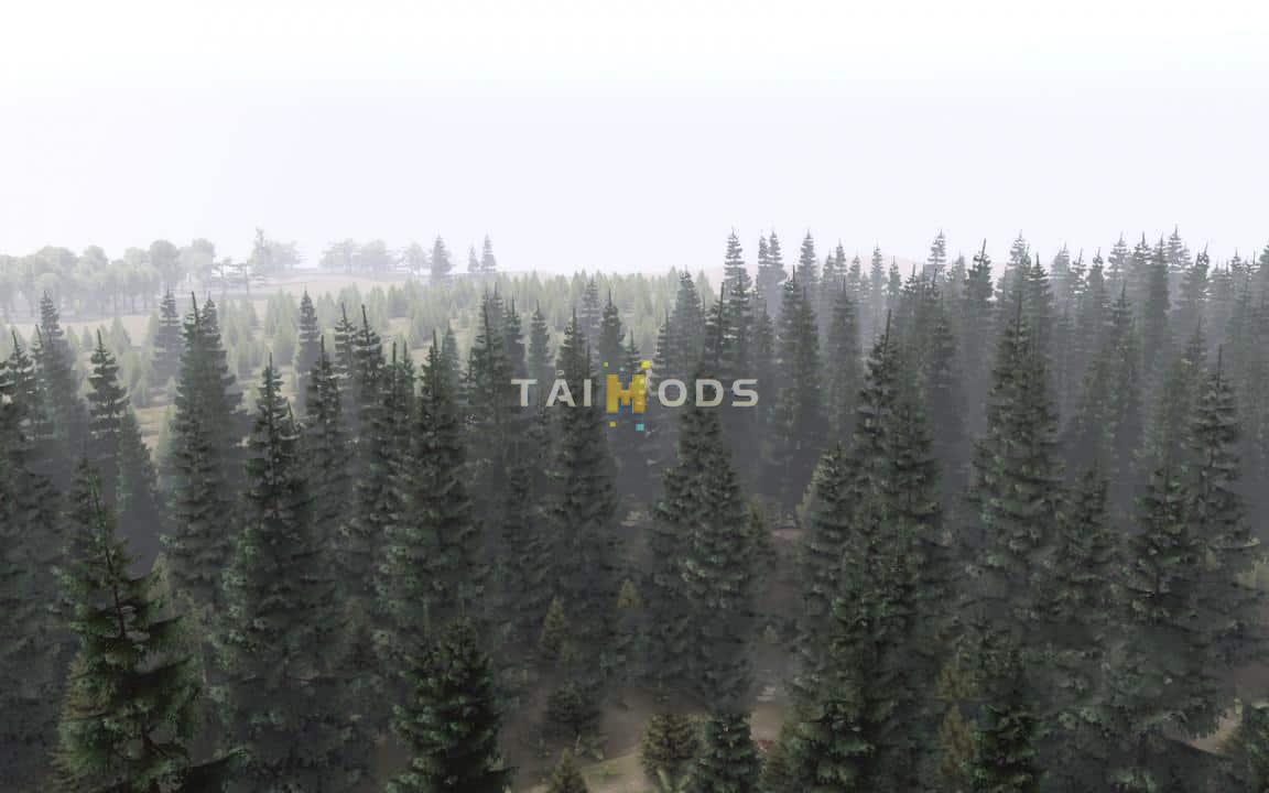 Spintires - Fir-Tree Mod for Editor (Tree 4) V1.0 (V1.6.x) Spintires - Fir-Tree Mod for Editor (Tree 4) V1.0 (V1.6.x)