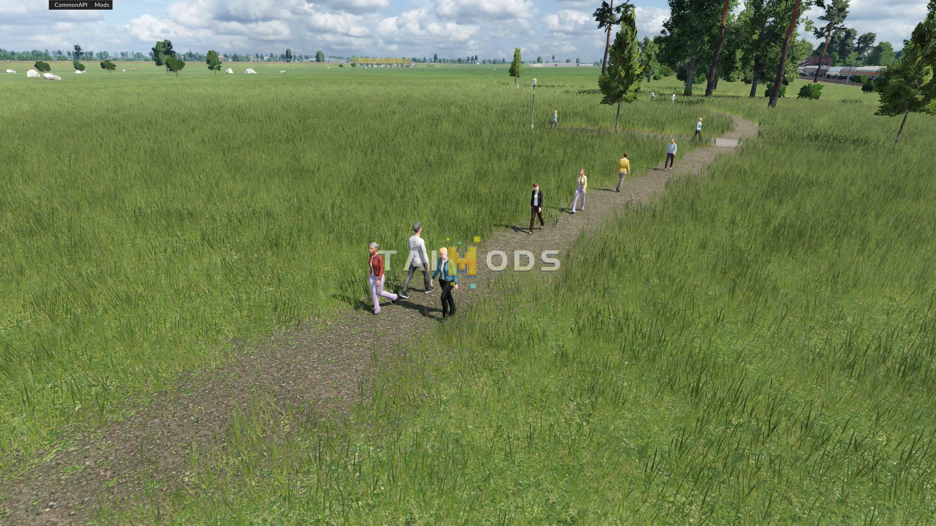 Transport Fever 2 - Hedges and Streets Package () Transport Fever 2 - Hedges and Streets Package ()