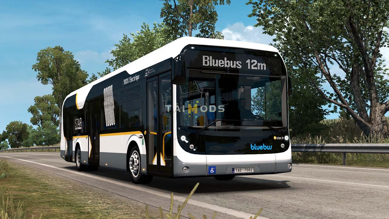 bluebus_4036x